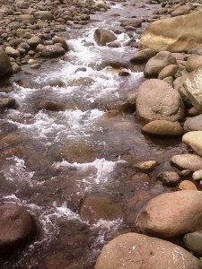IMG01873-20111120-0925